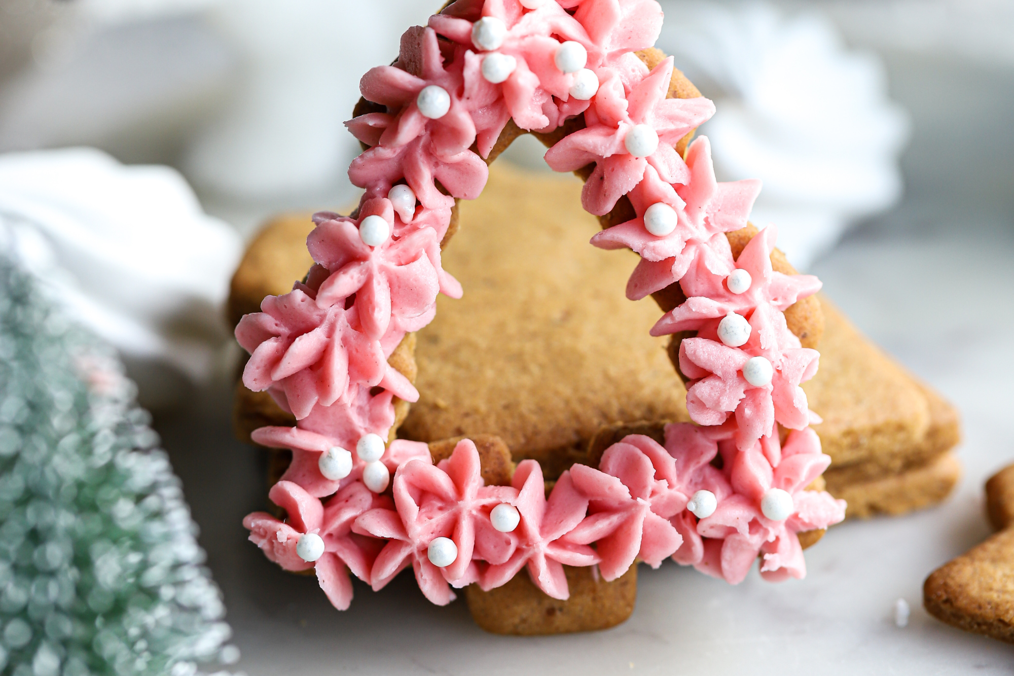 Turmeric Gingerbread Cookie recipe